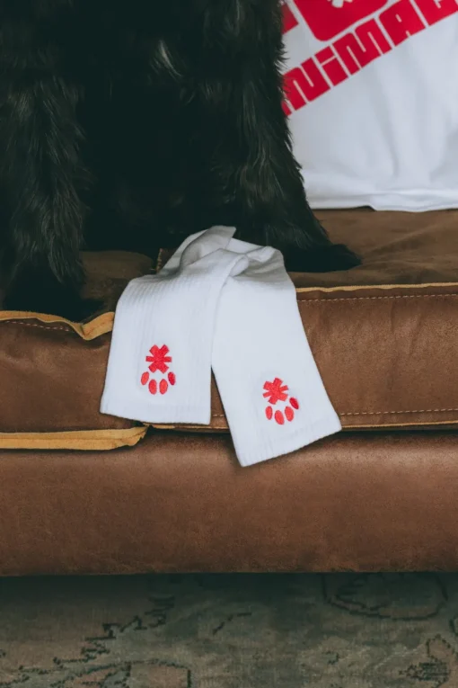Fashion Karo Kauer Socks Notpfote x KKLBL